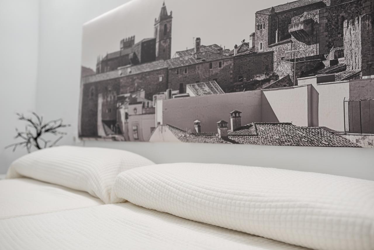 Apartamentos Turisticos Domus Seleqtia Plaza Mayor Касерес Екстер'єр фото